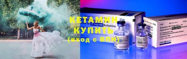 сатива Куйбышев