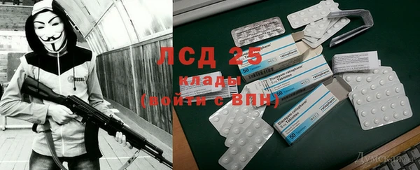 сатива Куйбышев