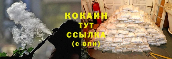 сатива Куйбышев