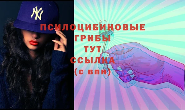 метадон Кукмор