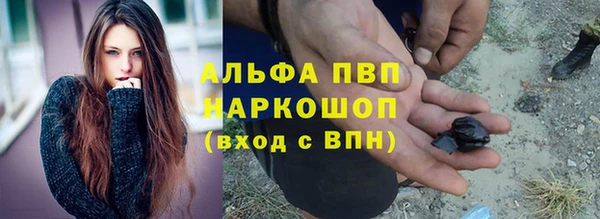 сатива Куйбышев