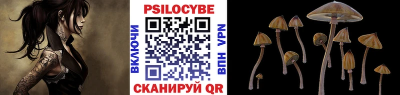 Галлюциногенные грибы ЛСД  где продают   блэк спрут как войти  Терек 