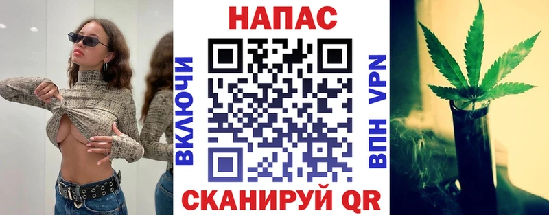 Бошки марихуана конопля Терек
